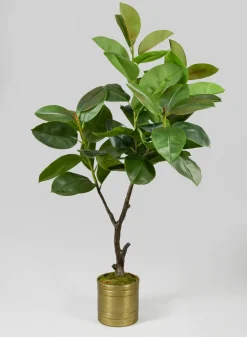 5ft Tall Potted Real Touch Rubber Tree