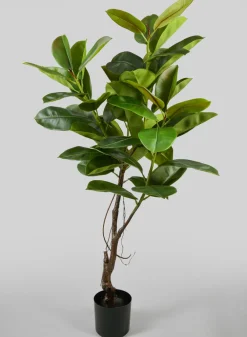 5ft Tall Potted Real Touch Rubber Tree