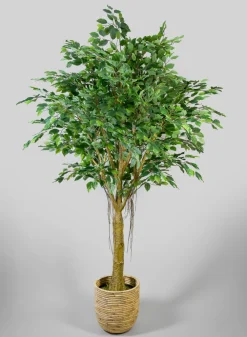 7.5ft Tall Real Touch Giant Ficus Tree