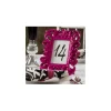 Fuschia Spray Paint #786