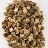 250G Champagne Mini Pinecones in Net Bag