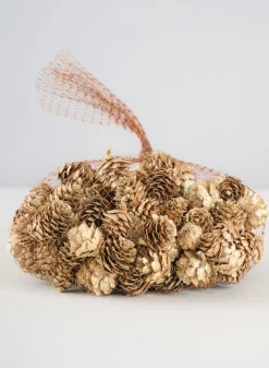 250G Champagne Mini Pinecones in Net Bag