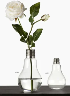 Glass Light Bulb Vases
