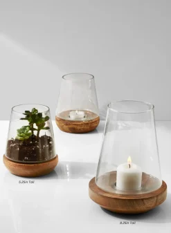 Glass Vase On Wood Base