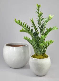 Grand Bowl Clay & Ceramic Planter, Cloud White