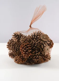 500G Small Natural Pinecones in Net Bag