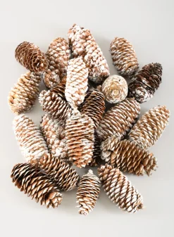 300G White Tip Long Pinecones in Net Bag