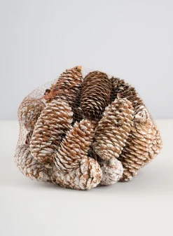 300G White Tip Long Pinecones in Net Bag