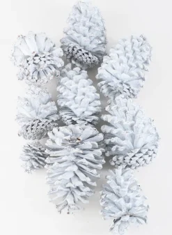 300G White Wash Pinecones In a Net Bag
