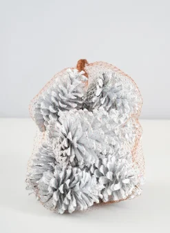 300G White Wash Pinecones In a Net Bag