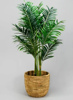 Haiphong Water Hyacinth Cachepot