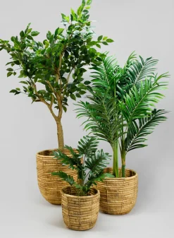 Haiphong Water Hyacinth Cachepot