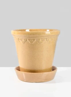 Honey Relief Ceramic Pot & Saucer