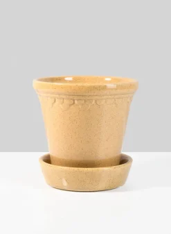 Honey Relief Ceramic Pot & Saucer
