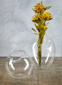 Imparfait Fishbowl