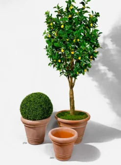 Impruneta Rolled Rim Planter