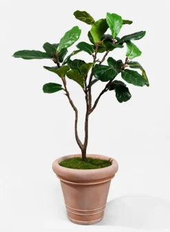 Impruneta Rolled Rim Planter