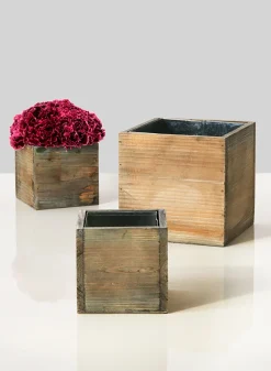 4in & 6in Aged Pine Cubes