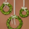 6in, 7 1/2in, and 10in Wide Ribbon Boxwood Wreath Set