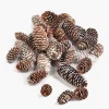 2.50in / 5in Long Glitter Frost Natural Pine Cones Bag