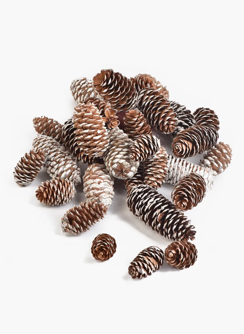 2.50in / 5in Long Glitter Frost Natural Pine Cones Bag