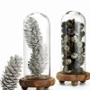 5in / 5.5in Long White-Washed Pinecones, Case of 3