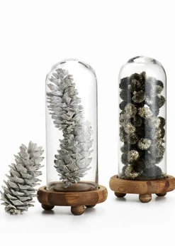 5in / 5.5in Long White-Washed Pinecones, Case of 3