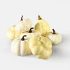 3in - 3.75in Wide Assorted Harvest White Pumpkins, Set of 7