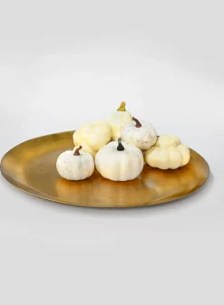3in - 3.75in Wide Assorted Harvest White Pumpkins, Set of 7