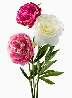 27in Light Pink Peony, Case of 12