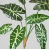 30in Long Alocasia Polly Spray, Case of 12
