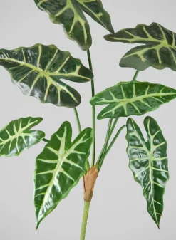 30in Long Alocasia Polly Spray, Case of 12