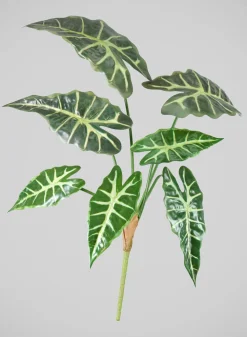 30in Long Alocasia Polly Spray, Case of 12
