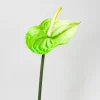 27in Long Anthurium Spray, Green, Case of 12
