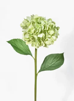 27in Long Antique Green Hydrangea, Case of 12
