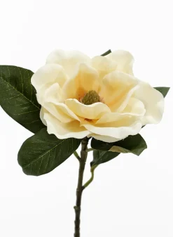 28in Long Antique Yellow Magnolia, Case of 12