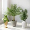 36in Long Areca Palm