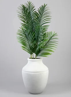 36in Long Areca Palm