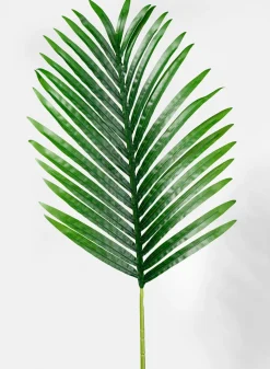 36in Long Areca Palm