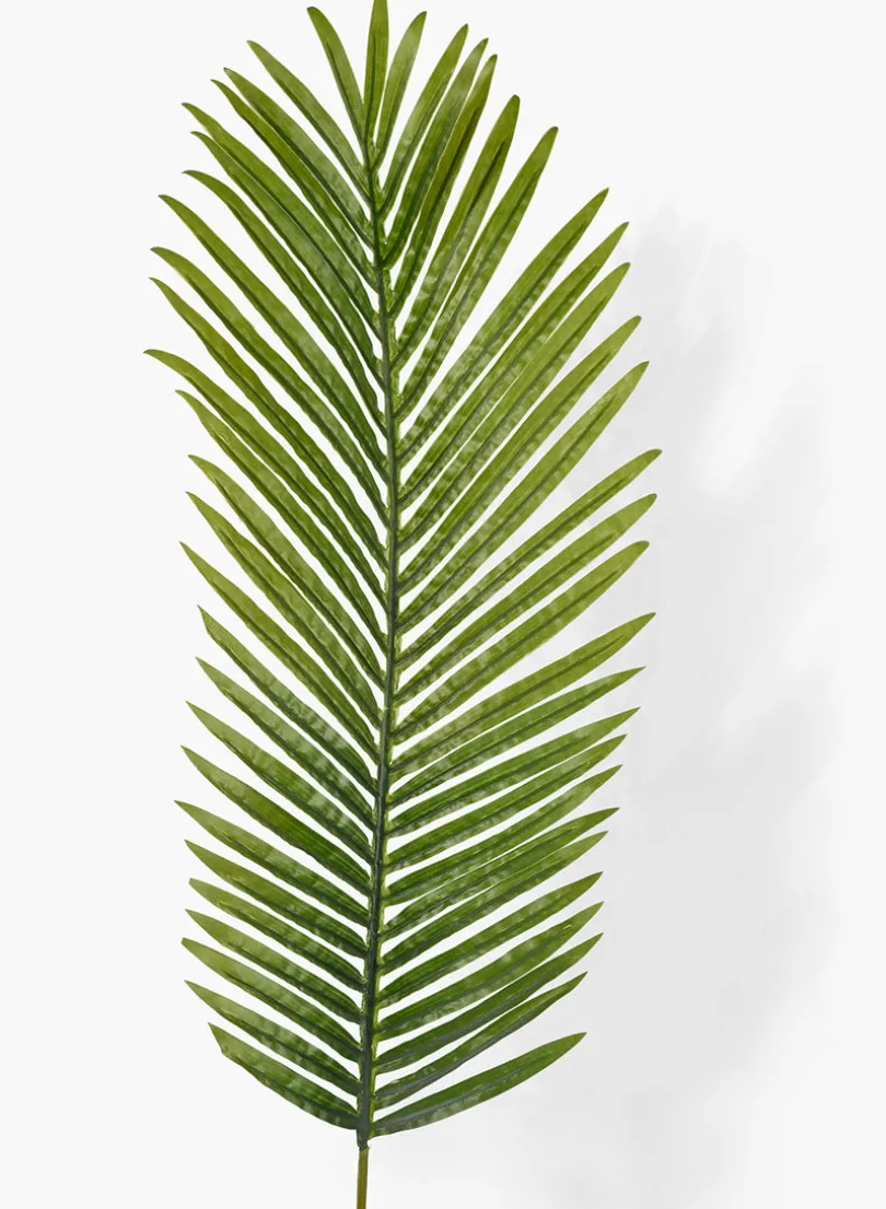45in Long Areca Palm Leaf, Case of 12