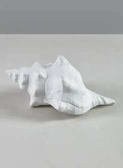 5.5in Long Artificial Florida Horse Conch Seashell