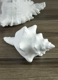 5.5in Long Artificial Florida Horse Conch Seashell