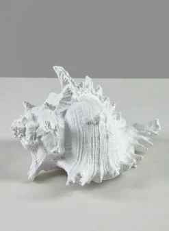 7.5in Long Artificial Giant Murex Seashell
