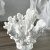 6in Long Artificial White Finger Coral
