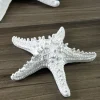 5.5in Long Artificial White Starfish