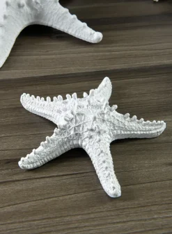 5.5in Long Artificial White Starfish