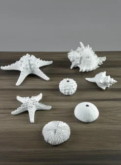 5.5in Long Artificial White Starfish