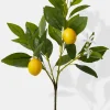 23in Long Baby Lemon Tree Pick, Case of 12