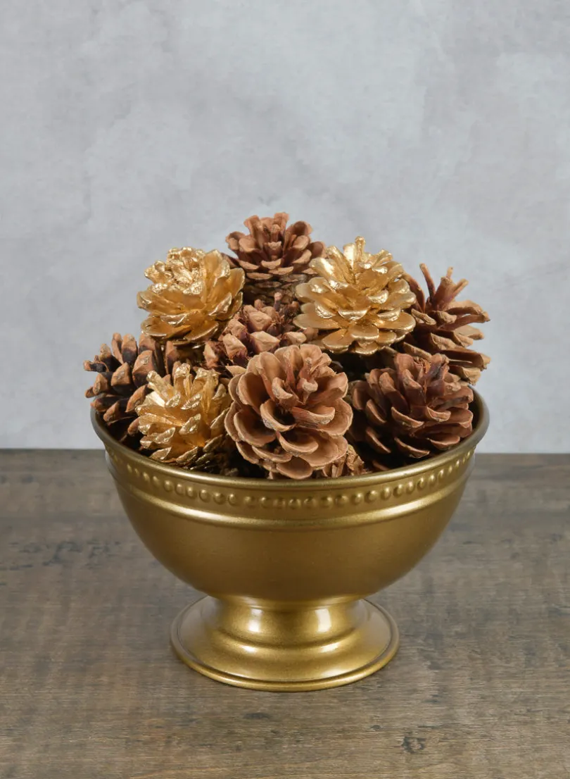 2in Long Bag of Assorted 18 Pinecones