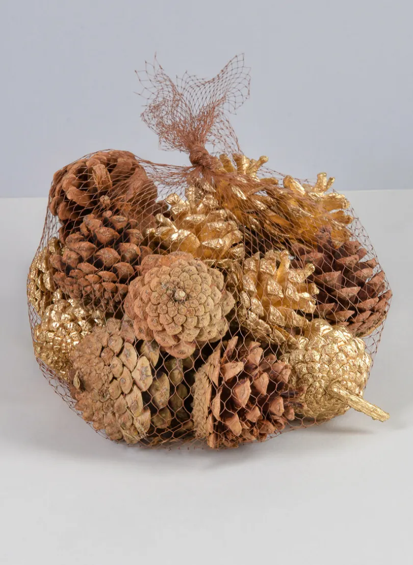2in Long Bag of Assorted 18 Pinecones